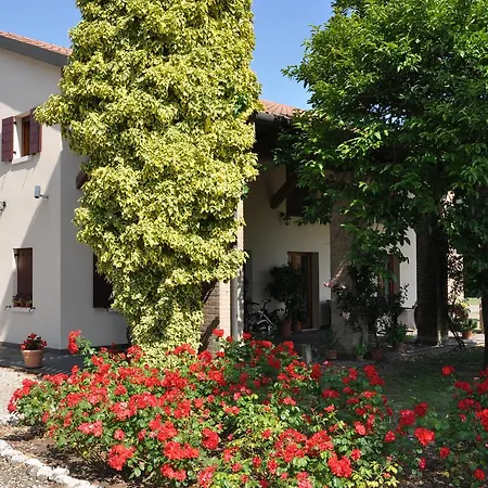 Farm stay Ancillotto *